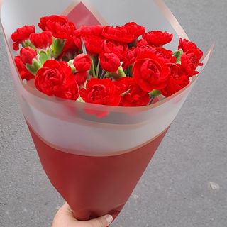 paquet des œillets mini 10 tige  avec emballage dispo