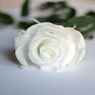 Rosa Eterna Blanca
