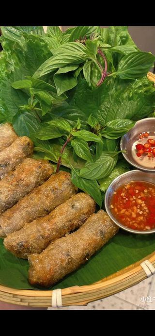 Involtini vietnam di carne