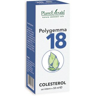 Polygemma nr. 18 - Colesterol