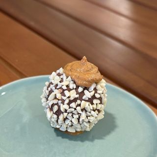 Protein Ball