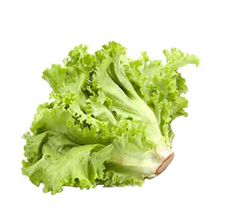 Lechuga Pais Invernadero Peso Estimado 250 Gr.