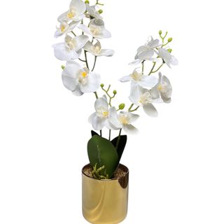 Orchidee artifciel