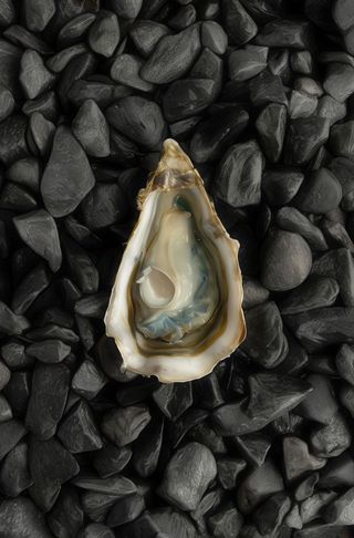 Ostras Fine de Claire N3 (12 Uds.)