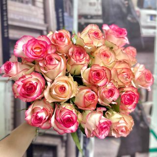 21 біло-рожева троянда