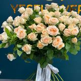 19 crengute de trandafiri