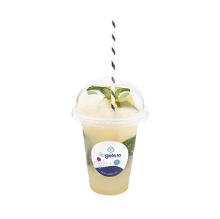 Float Mojito