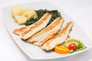 File orade ili brancina