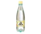 Agua Con Gas (500 Ml.)
