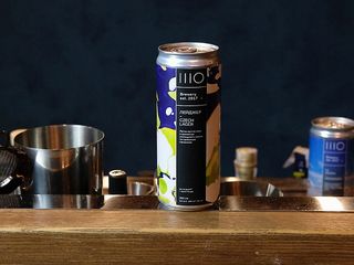 Лейджер світле (330мл)