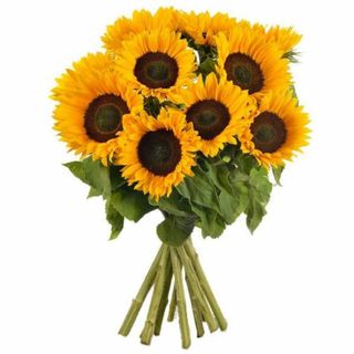 Bouquet di 10  girasoli