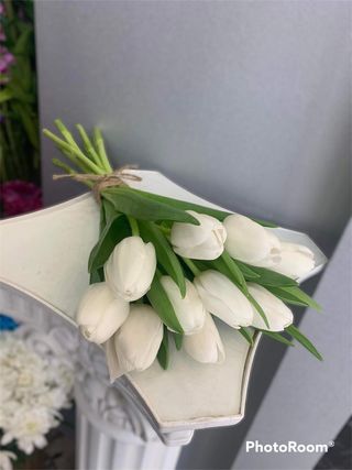 #41. ტიტების თაიგული