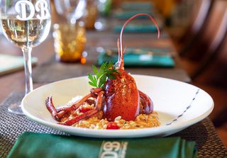 Risotto con Bogavante