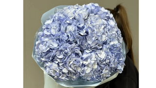 Bukiet 5 niebieskich hortensji