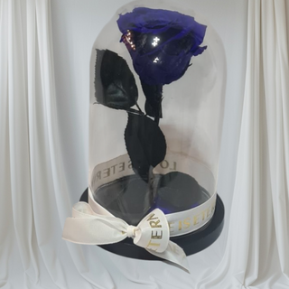 Plava vjecna ruza u zvono