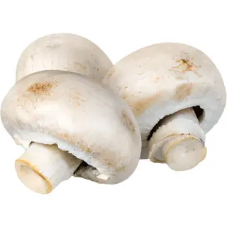 Champiñon Extra 250g