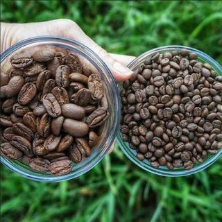 მარაგოჯაიპი, 100გრ