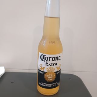 Birra corona extra 33cl