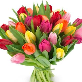 Ramo de 15 Tulipanes  