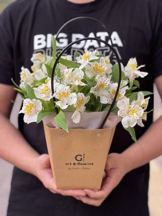 Моно-Букет в сумке из Альстремерии (7 шт.)