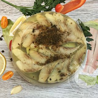 Filety śledziowe w oleju z przyprawami 500g