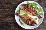 Plat Poisson