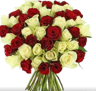 Bouquet Flora 20 Tiges 