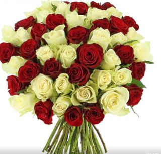 Bouquet Flora 20 Tiges 