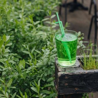 Тархун (300мл)