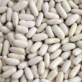 Cannellini