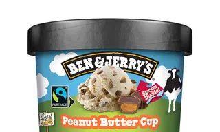 BEN & JERRY'S PEANUT BUTTER 465ml