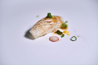 211. Nigi sakè roll 2 pezzi