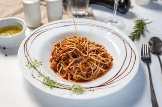  Bolognese 