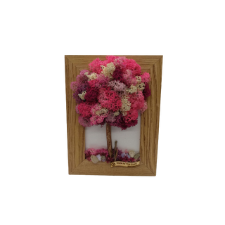 Aranjament licheni, cod ARL43