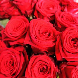 FlowerBox z czerwonych róż rozmiar S