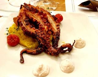 Polpo alla griglia su crema di patate allo zafferano