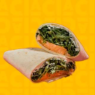 Menu Wrap Salmão