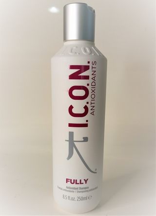 Icon Antioxidants Fully 