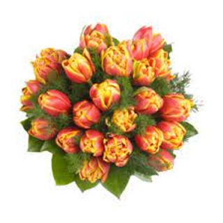 Bouquet di tulipani colori misti