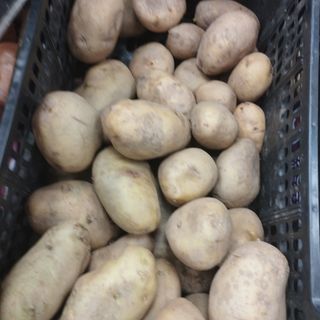 Patata Kenebek del pais  1 kg