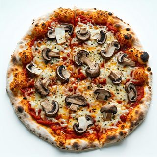 Funghi porcini baby