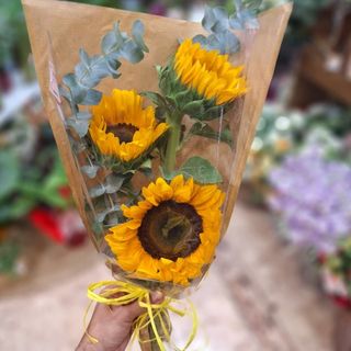 Trío Girasoles "Ronda"