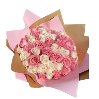 Dazzling Pink Roses