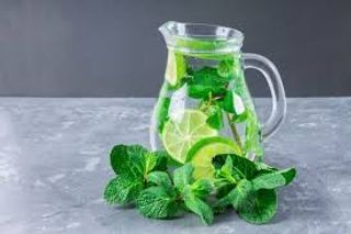 Мохито (480мл)