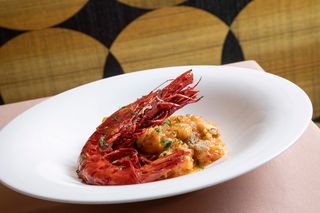 Ajoarriero Carabinero