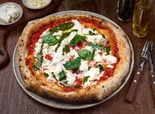Silvestro