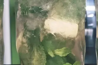 Mojito