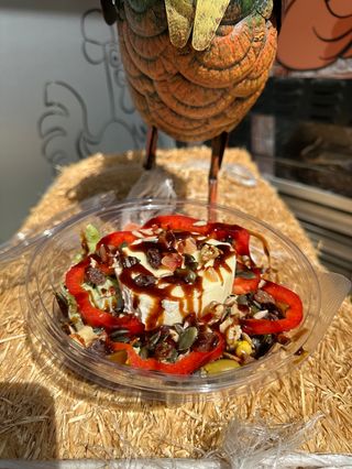 Amanida de formatge de cabra