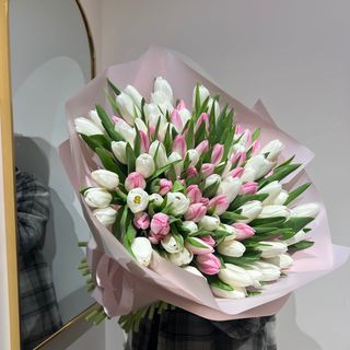 101 тюльпан білий з рожевим 