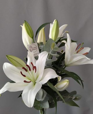 Ramo Lilium blanco